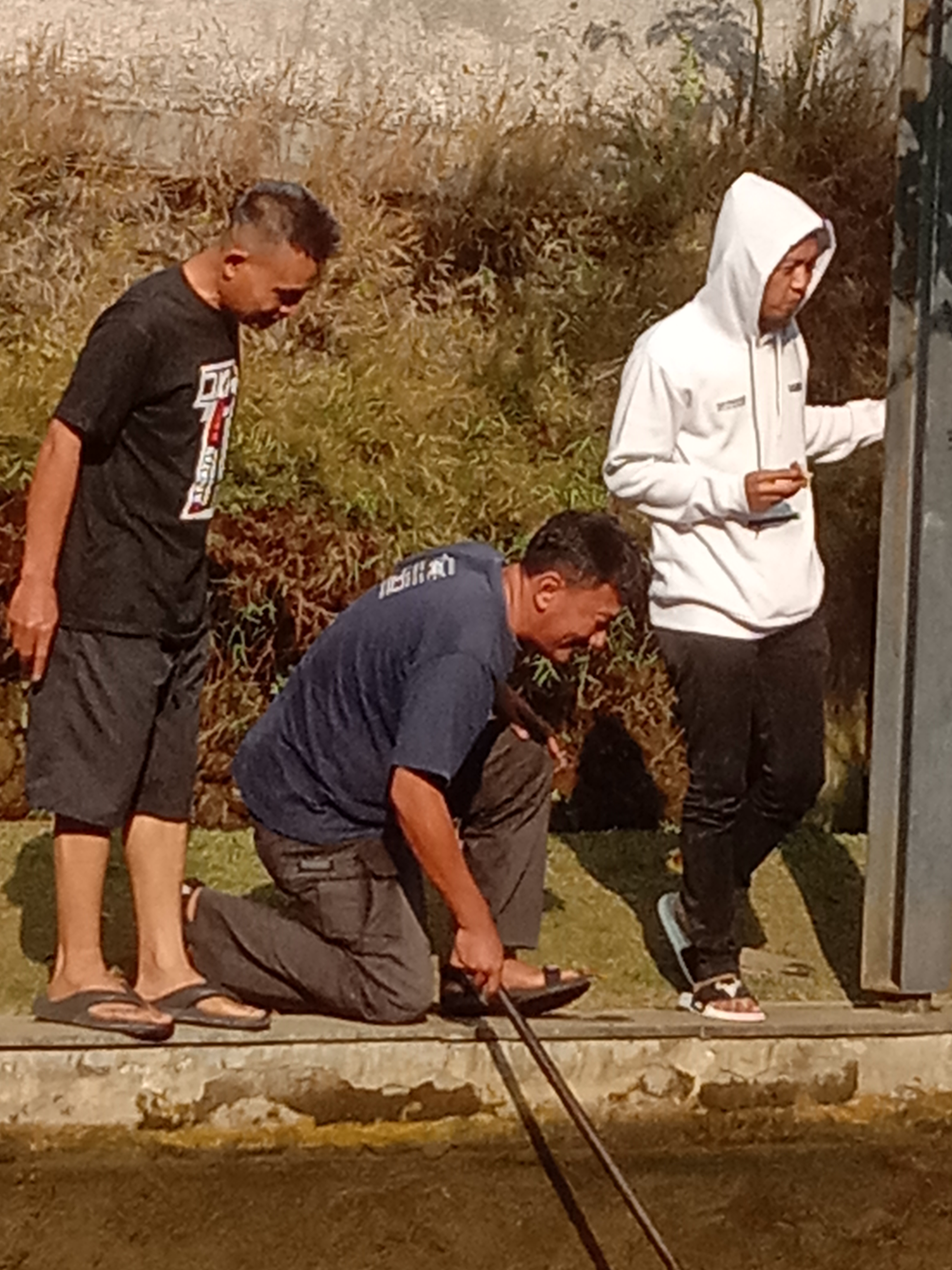 Foto galeri
